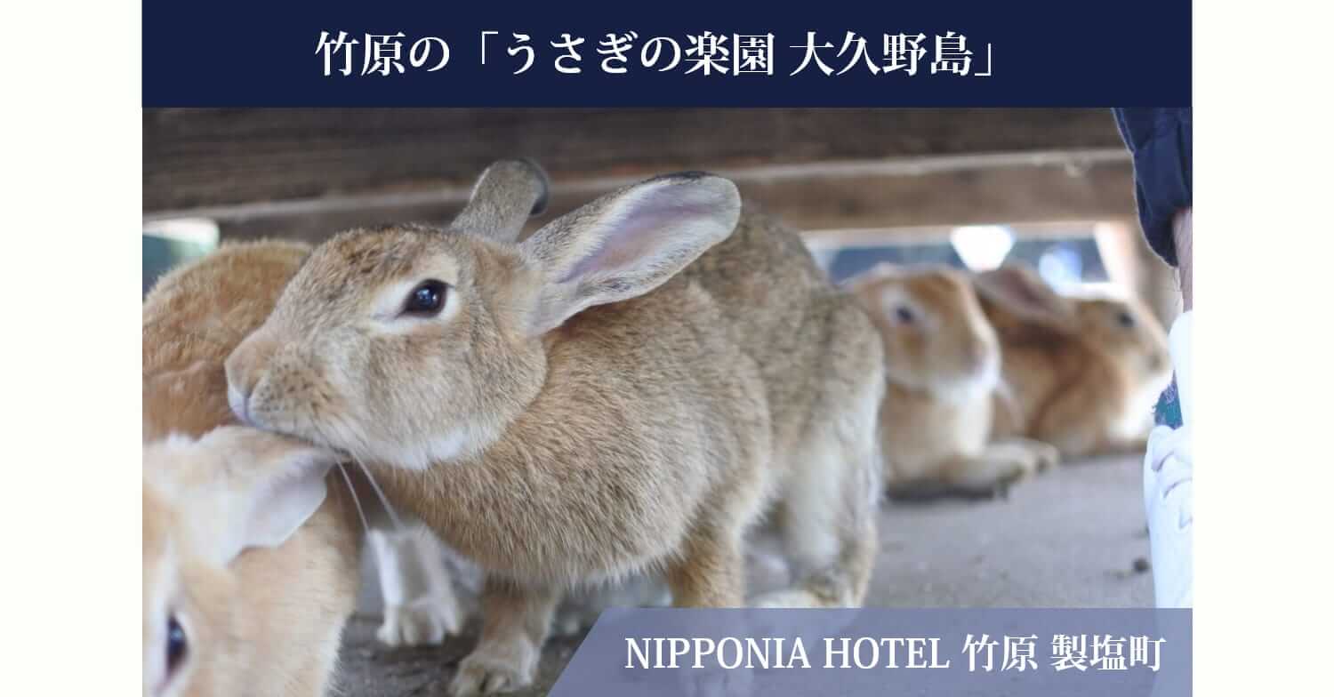 竹原の「うさぎの楽園 大久野島」NIPPONIA HOTEL 竹原 製塩町