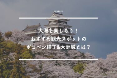 大洲を楽しもう！おすすめ観光スポットのポコペン横丁&大洲城とは？