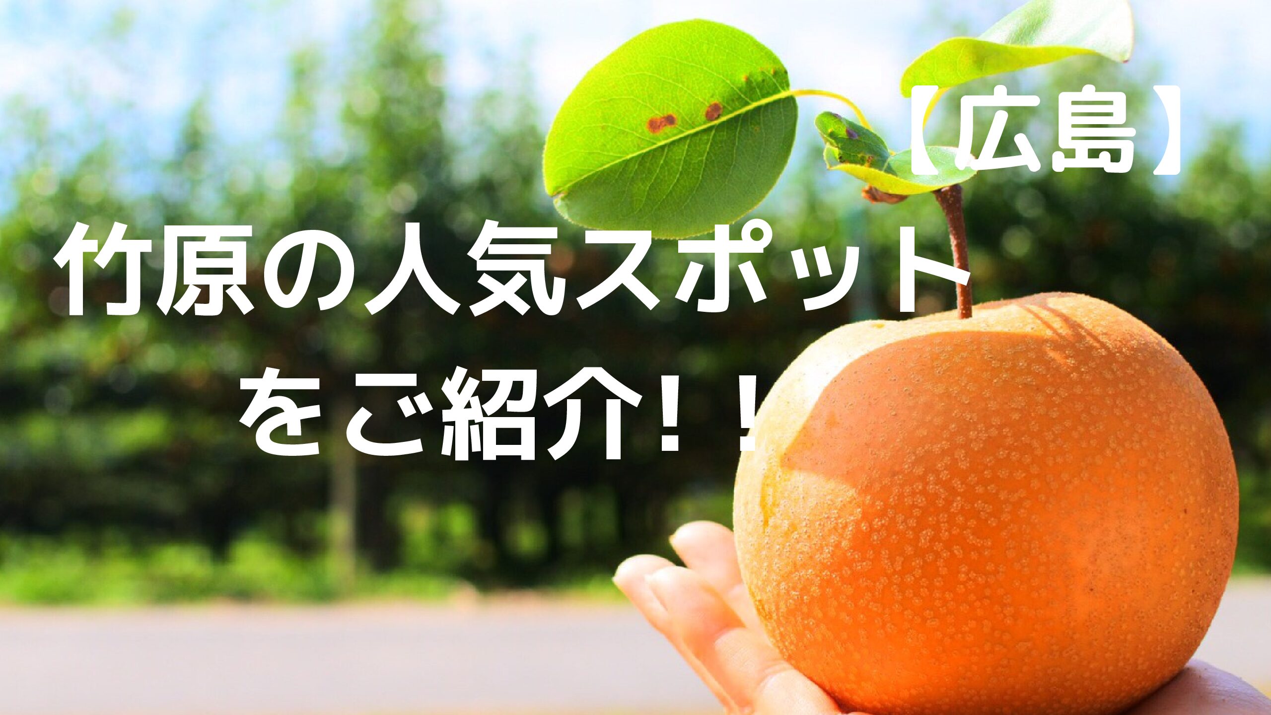 町並みが綺麗な小京都 竹原 のおススメの観光スポットをご紹介 町並みが綺麗な小京都 竹原 のおススメの観光スポットをご紹介